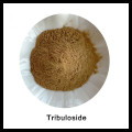 100% Natural Tribulus Terrestris Powder Extract